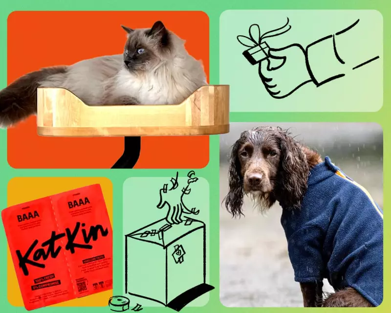 Paws for Thought: Are We Spending Too Much on Christmas Gifts for Our Pets?