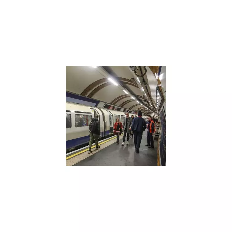 Piccadilly Line Part-Closed Due to Leaf Fall Causing Rush Hour Delays