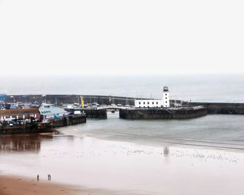 Pollution Crisis: 1 in 7 English Bathing Spots Rated as Unsafe