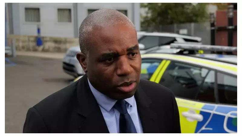 Prison Release Errors: Harman Calls it Lammy's 'Opportunity'