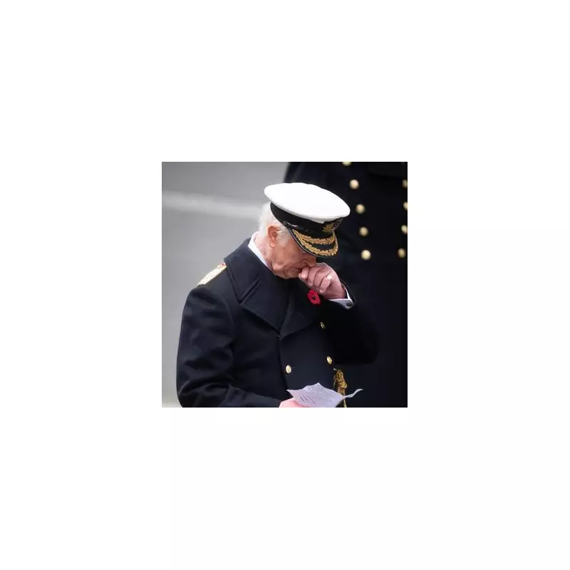 Remembrance Sunday London 2025: Timings, Road Closures & How to Watch