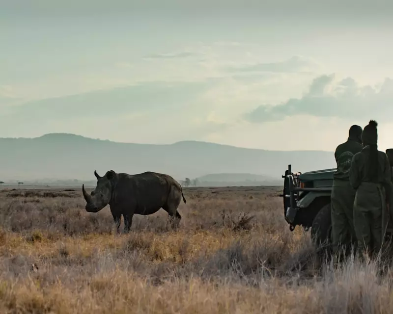 Rhino Review: Tom Hardy Narrates Kenya's Conservation Success Story