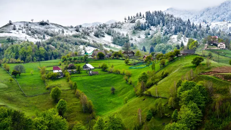 Romania's Recycling Revolution: From EU's Worst to 94% Collection Rate