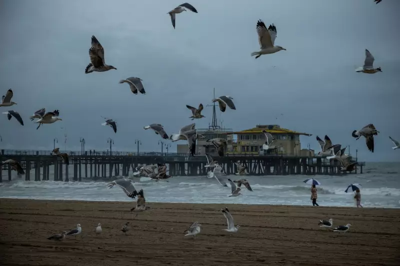 Santa Monica's Crisis: Can Bold Revival Plan Save Famed Beach City?