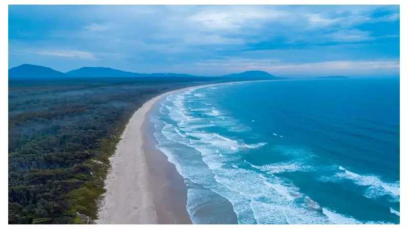 Shark attack kills woman, injures man at Australian beach