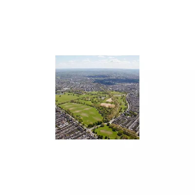 Six Arrested After Clapham Common Robbery Leaves One Injured