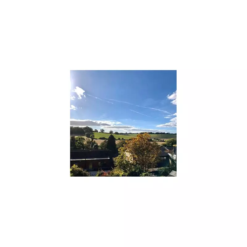 South London's Hidden Gem: Crystal Palace's Village Charm Under Threat from Major Housing Development