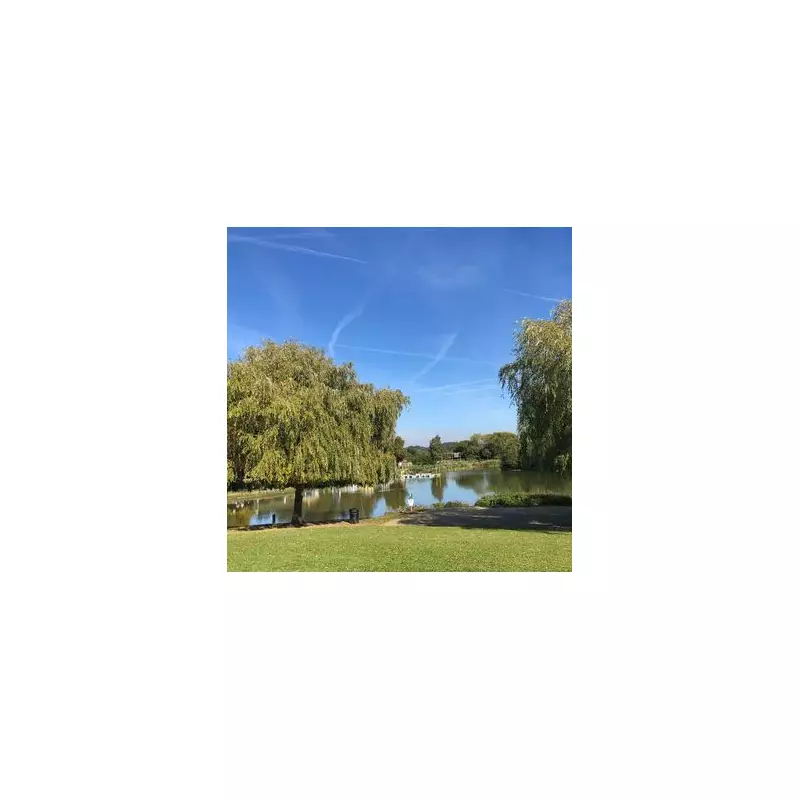 Swanley: London's £230k Cheaper Commuter Town with Zone 8 Links