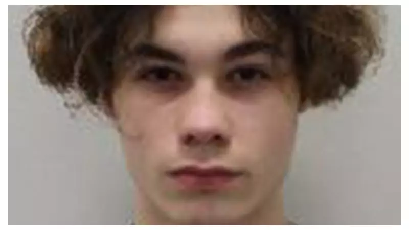 Teenager sentenced to 16 years for New Year's Eve murder of Harry Pitman