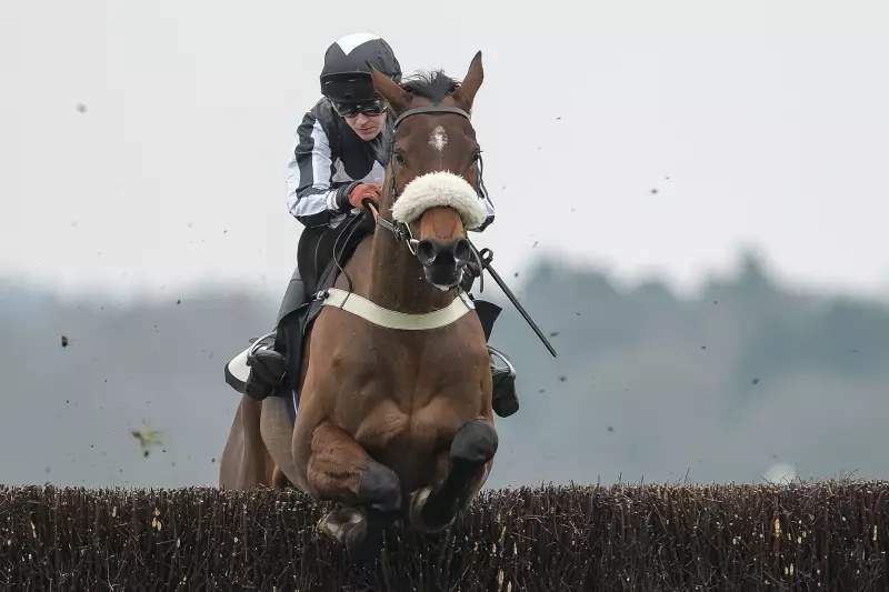 The Changing Man & Victtorino: Key Contenders for Newbury's Coral Gold Cup