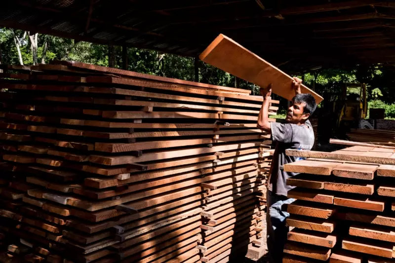 The Green Lie: Are Your 'Sustainable' Wood Products Actually Destroying Forests?