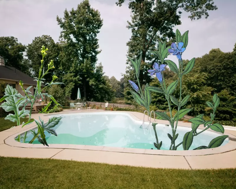 The Hidden Costs of Pool Ownership: A British Perspective