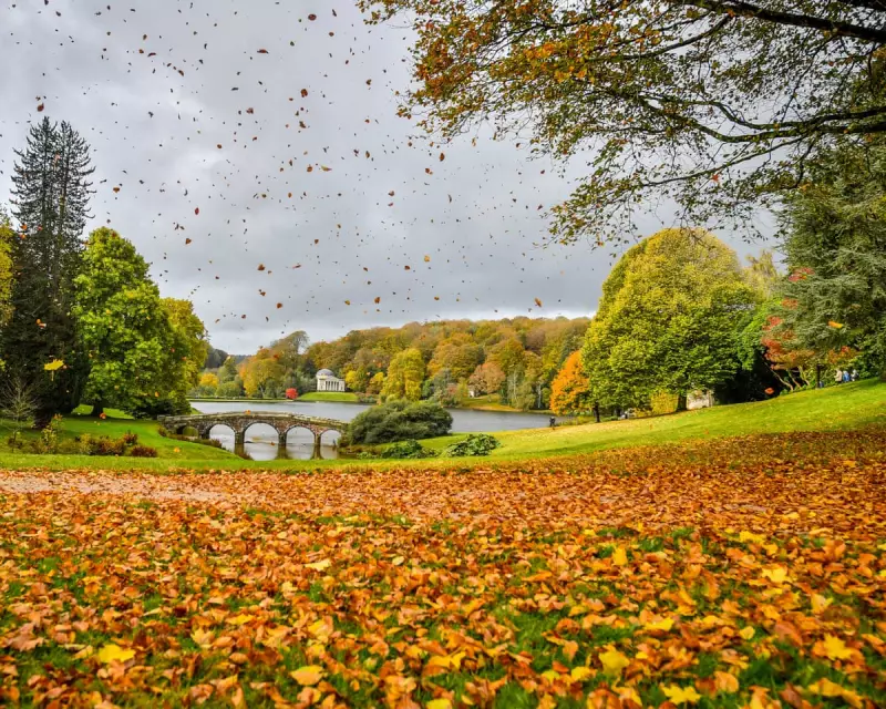 The Silent Wind: Uncovering the Science Behind Nature's Autumn Symphony
