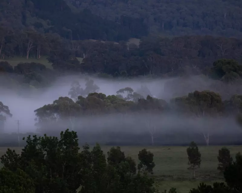 Three-Month Manhunt: The Unanswered Questions in Dezi Freeman Case