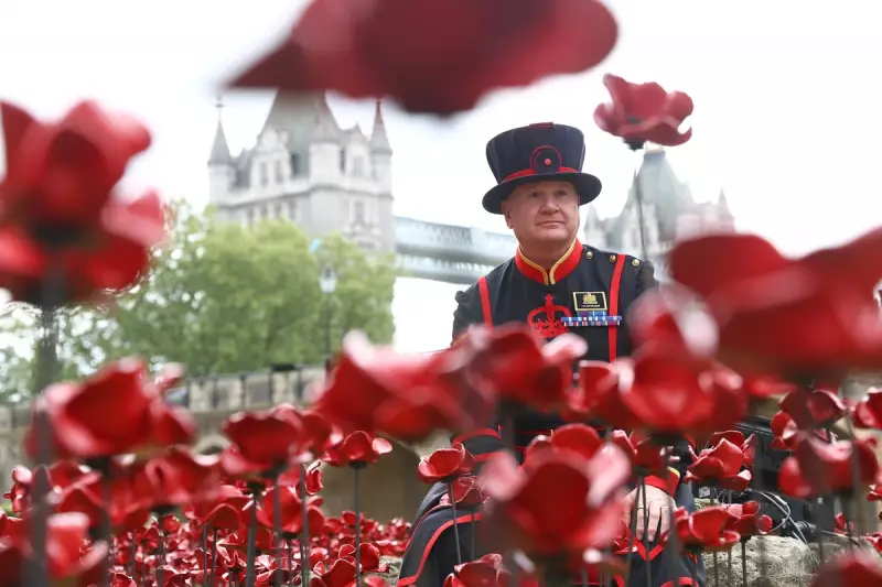Tower of London's 2025 Poppy Display Closes: Are the Poppies For Sale?