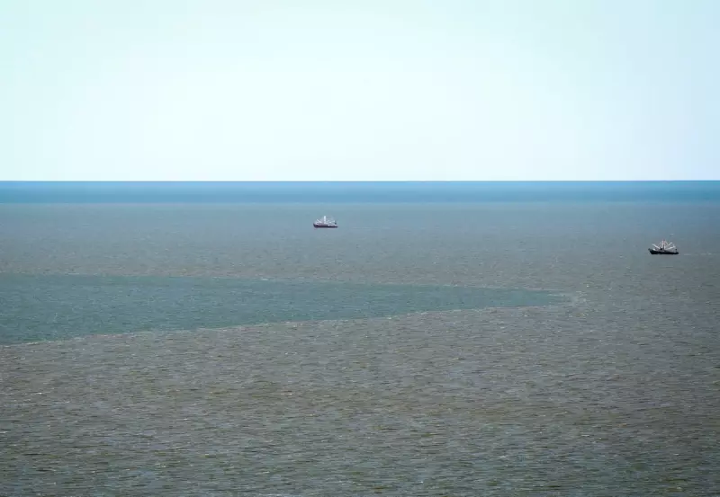 Trump Administration Plans Six New Offshore Drilling Leases in California