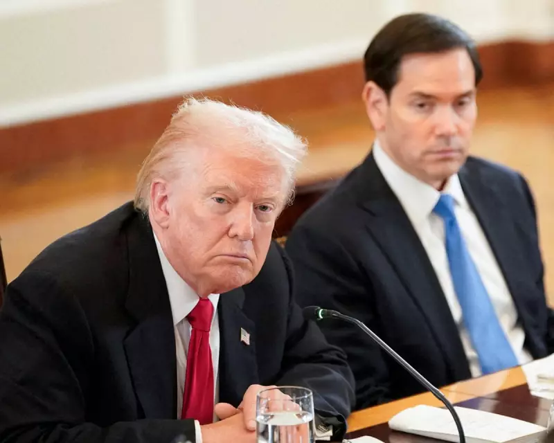 Trump Begins Process to Designate Muslim Brotherhood as Terrorist Group