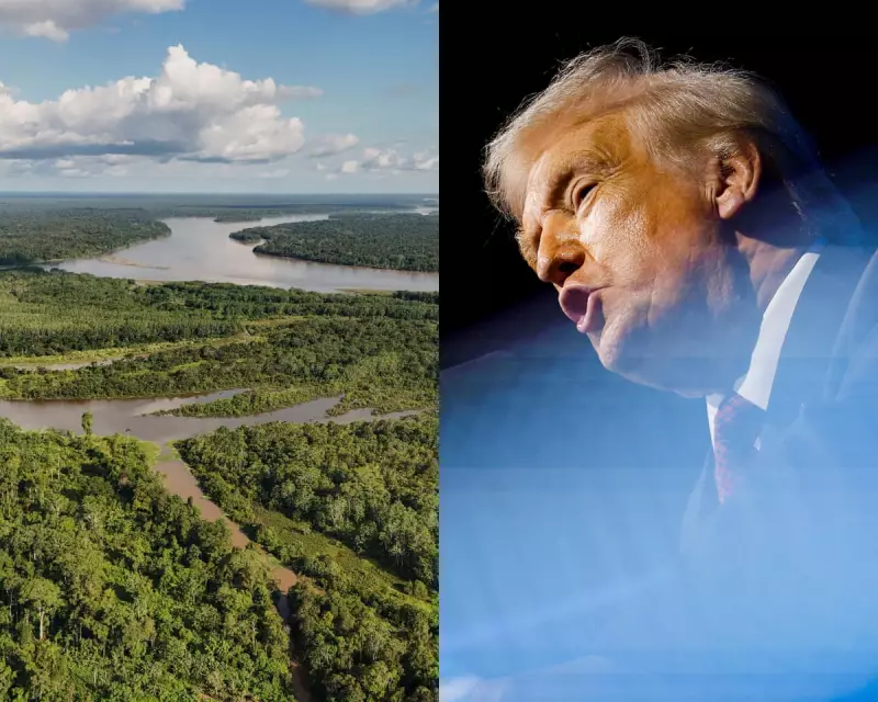 Trump's Climate Absence at COP30: Relief Over US Wrecking Ball