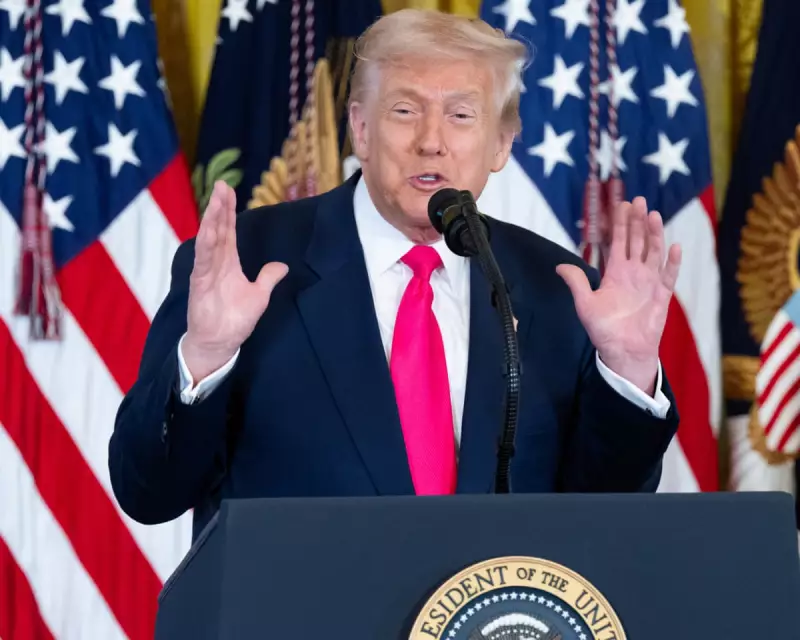 Trump's Epstein Files Flip-Flop: From Transparency Demands to 'Democratic Hoax'