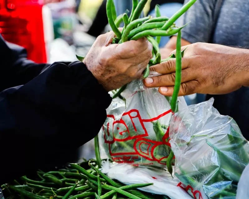 Trump's Food Stamp Threat Marks Historic Reversal of FDR's Moral Test