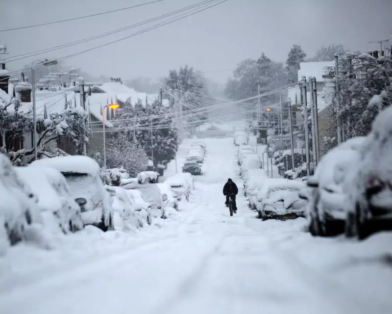 UK Faces Climate Emergency: Scientists Warn of -20C London Winters