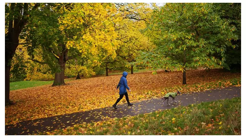 UK Weather Set to Sizzle: Unseasonal Warm Spell Forecast for Next Week