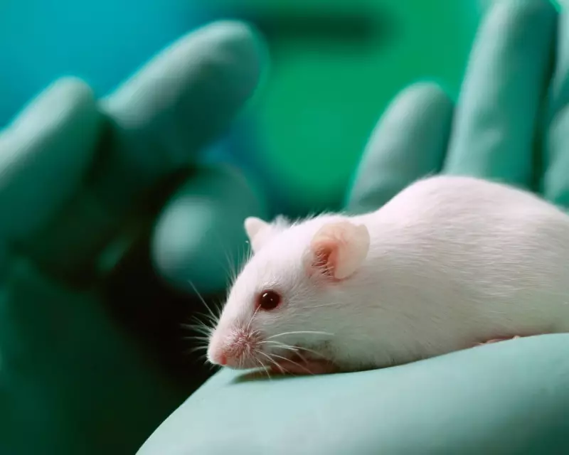 UK's 2027 Botox Mouse Test Ban: AI & Bioprinting Replace Animal Testing