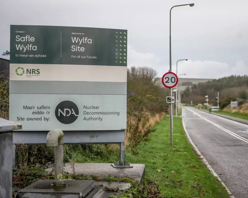 US-UK Forge Nuclear Pact for Wylfa SMR Project