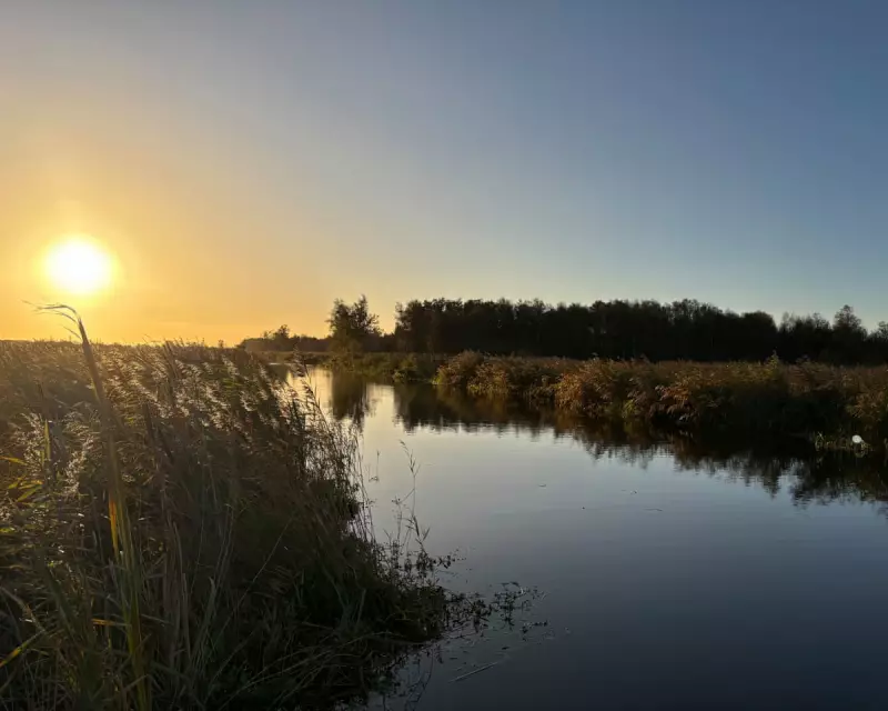 Winter Escape to De Alde Feanen: A Dutch Wetland Retreat