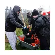 49 Sycamore Gap Saplings Planted Across UK in 'Tree of Hope'