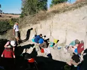 55-Million-Year-Old Crocodile Eggshells Unearthed in Queensland Back Yard