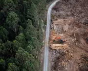 Alarming Loophole in Labour's Environmental Laws Sparks Integrity Concerns