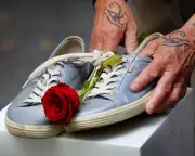 Alcohol and Gambling Fuel 70% of Domestic Violence in Australia