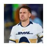 Arsenal Icon Makes Shock Exit After Just Six Games Amid Heartbreaking Dog Disappearance