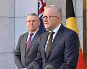 Australia's Environmental Law Reforms Pass After Labor-Greens Deal