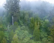 Australia's New Nature Laws: 7 Key Changes to Environmental Protection