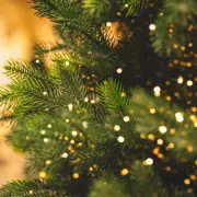 Belgravia's Christmas Lights 2024: Official Date Revealed for London's Most Glamorous Display