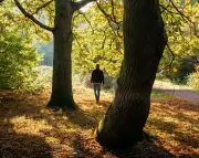 Britain Ranks Among World's Least Nature-Connected Nations, Study Reveals