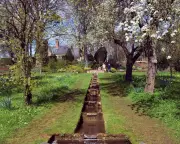 Cambridge Busway Faces Legal Challenge Over Irreversible Ecological Harm