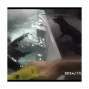 Car Thieves Hid in Hot Tub After Yorkshire Crime Spree