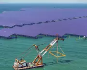 China's CO2 Emissions Flat for 18 Months as Solar Capacity Soars