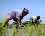 Climate Aid Crisis: Wealthy Nations Fall Billions Short on Just Transition Pledges