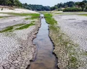 Climate Hope: Scientists Reveal We Can Still Salvage 1.5°C Goal - Here's How