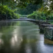 Contactless Travel to Box Hill: Surrey Beauty Spot Now Easier to Reach