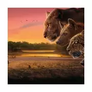 David Attenborough's New Epic Dubbed 'Natural World's Game of Thrones' in Stunning First Look