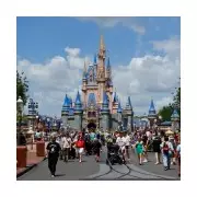 Disney Boss Demands End to Phone Use in Theme Parks