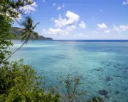 Dr Katy Soapi: The Scientist Protecting Solomon Islands' Sacred Tetepare
