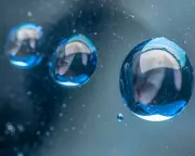 Eireann Lorsung's 'Simile': A Lyrical Exploration of Memory and Connection