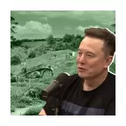 Elon Musk Sparks Fury After Dismissing English Town Residents as 'Hobbits'