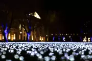Ever After Garden: 30,000 Glowing Roses Illuminate Chelsea